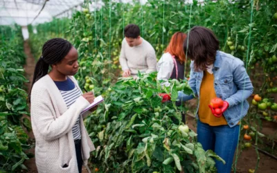 Les acteurs de l’agriculture urbaine à Bruxelles : qui cultive, soutient, finance et imagine la ville productive ?
